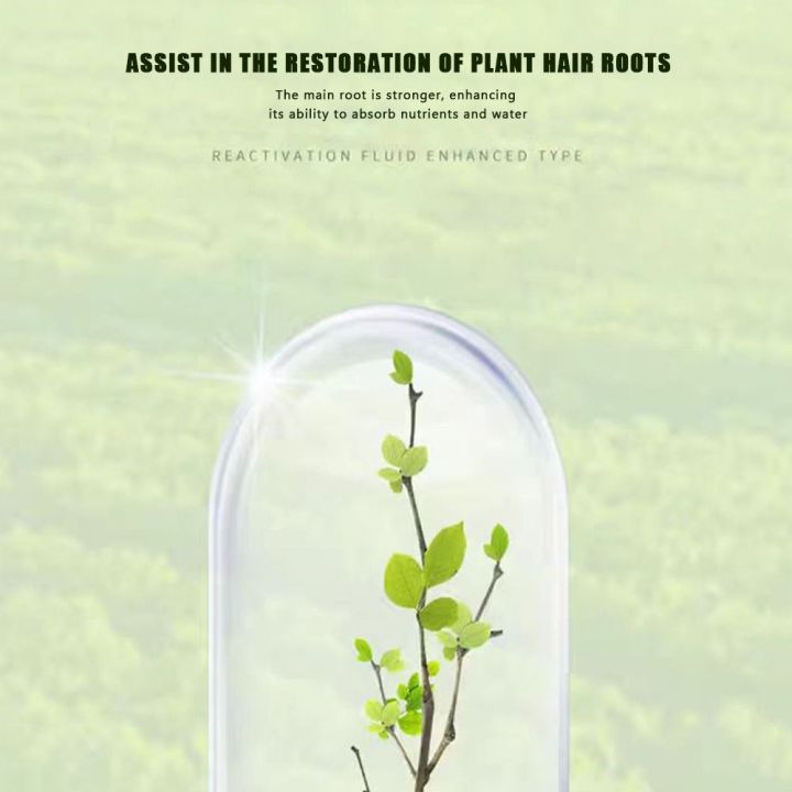 Efficiently%20Root%20Stimulator%20Plant%20Resurrection%20Liquid%20Fruit%20Liquid%20Root%20Booster%2050ml%20Succulent%20Rooting%20Nutrient%20-%20Image%208