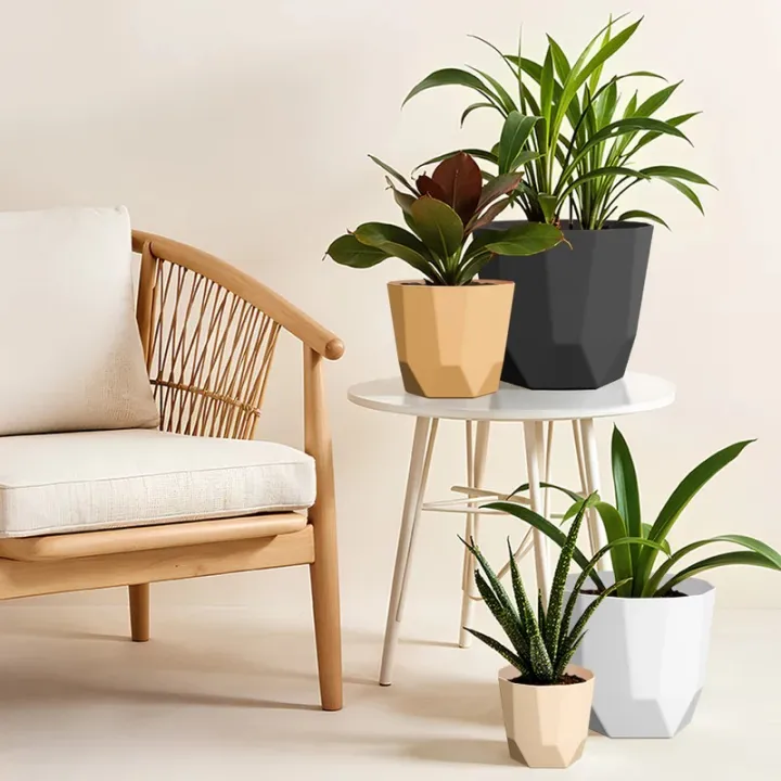 SHERA%20%7C%20Hexa%206"%20Planter%20%7C%20Indoor%20and%20Outdoor%20%7C%20Gamala%20%7C%20Flower%20Pot%20-%20Image%202
