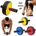 Home Gym Combo: Ab Roller Abdominal Wheel | Tummy Trimmer Double Spring - Men & Women | Abs Exercise Equipment. 