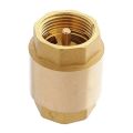 Brass 1" Check Valve/ Brass & Spring Made Of Stailess steel. 