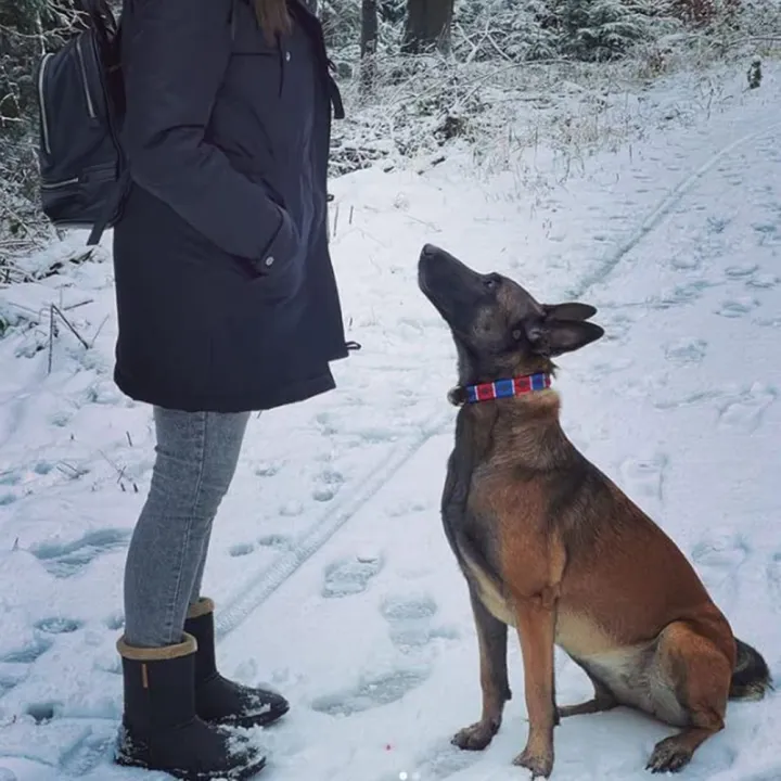 Outdoor%20Non-Slip%20Ice%20Snow%20Grips%20Cleat%20Crampons%20over%20Shoe/Boot%20Traction%20Cleat%20Slip-on%20Stretch%20Footwear%20Black%20(M)%20-%20Image%205