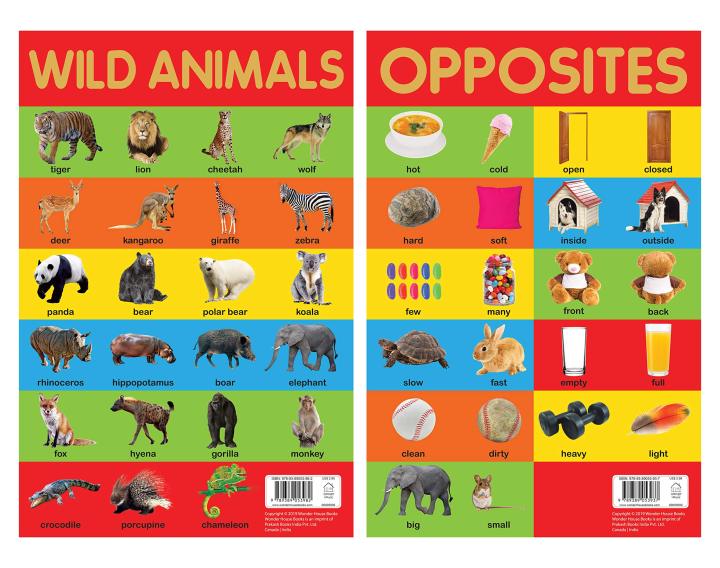 Early%20Learning%20Educational%2010%20Charts%20Boxset%20for%20Kids%20:%20Perfect%20for%20Homeschooling,%20Kindergarten%20and%20Nursery%20Students%20-%20Image%209