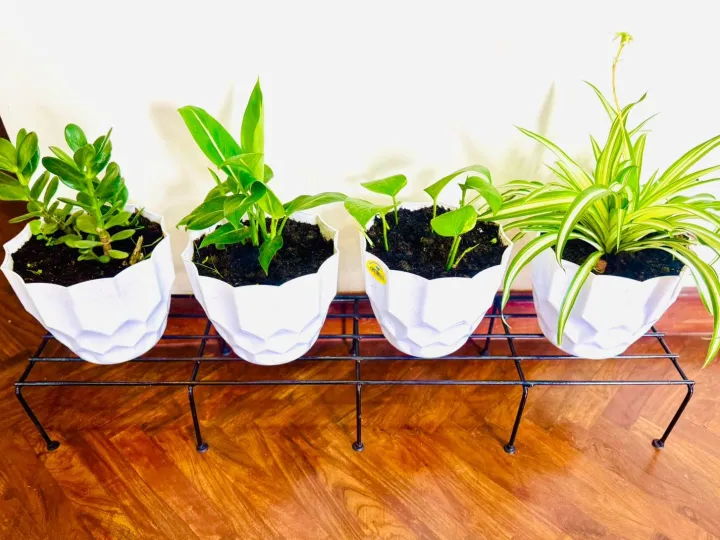 Salcko%20Set%20of%202%20Pieces%20black%20%20Rust-Resistant%2036-Inch%20Metal%20Plant%20Stands%20-%20Ideal%20for%20Indoor%20and%20Outdoor%20Use,%20Combining%20Durability%20with%20Elegant%20Design%20-%20Image%206