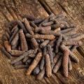 Pipla / Long Pepper 100 gm. 