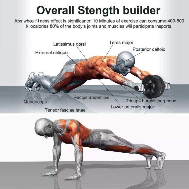 AB%20Wheel%20AA%20Total%20Body%20Exerciser%20-%20Image%205