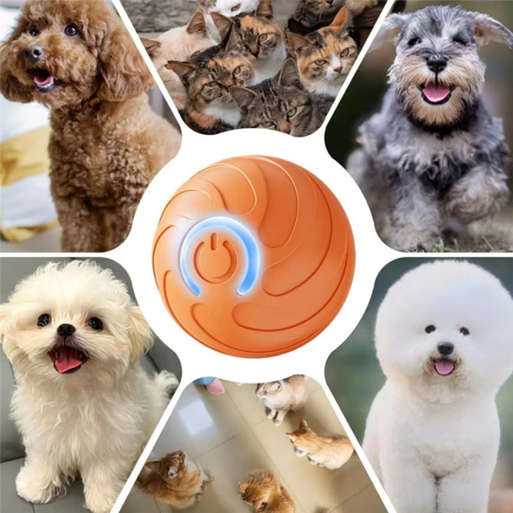Smart%20PetToys%20Ball%20Electric%20Automatic%20Jumping%20Rolling%20Ball%20Interactive%20Game%20Rechargeable%20Moving%20Puppy/Kitty%20Toy%20-%20Image%203