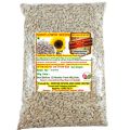 Sunflower Seeds ( Healthy Superfood / Nutrition Power House ) - 200 gm. 