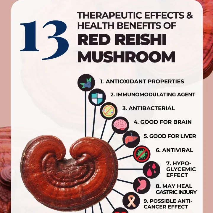 Reishi%20Red%20Mushroom%20Powder-60gm%20-%20Image%202