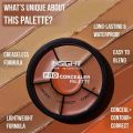 INSIGHT Pro Concealer Palette – Shade Concealer | Makeup Wheel for Face | Satin–Matte Finish | 3-in-1 Conceal, Contour and Correct | Waterproof 15gm. 
