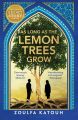 As Long As the Lemon Trees Grow by Zoulfa Katouh. 