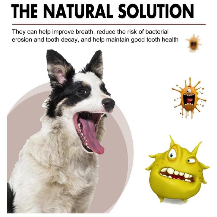 Dog%20Dental%20Spray%20Fresh%20Dental%20Spray%20For%20Dogs%20And%20Cats%20Dog%20Breath%20Freshener%20And%20Dog%20Teeth%20Cleaning%20For%20Dog%20Dental%20Care%2030ml%20Dog%20-%20Image%205