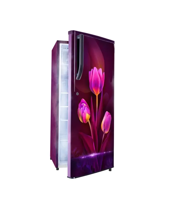 Gem%20Refrigerator%20-%20185%20Ltr%20-%20Direct%20Cool%20-%20Trisha%20-%20Image%204
