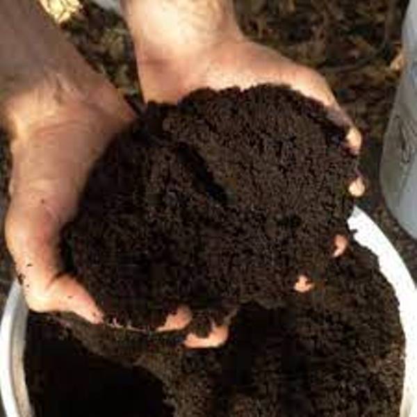 Trichoderma Compost Setup AV 2 Kg Trichoderma Enriched Verrmicompost Trico- Vermi Compost with ...