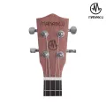 Manaslu Danfe 24 Inch Concert EQ Ukulele With Bag. 