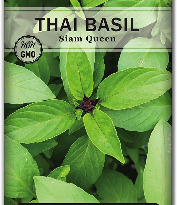1 Packet Thai Basil weet Large Leaf Thai Basil Seed for Planting; Non-GMO Heirloom Seeds