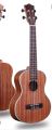 Vintage Ukelele Sapele Wood 24 Inches Concert Professional Ukulele Hawaii Kids Guitar Uke  for Students Beginners Music Gift for Adults Kids (Color : Wood, Size : 24 inches). 