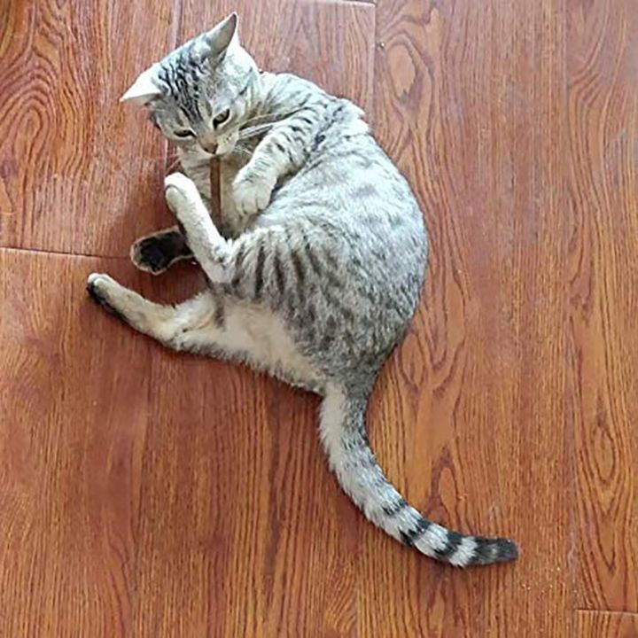 15Pcs%20Natural%20Silvervine%20Sticks%20for%20Matatabi%20Chew%20Sticks%20Teeth%20Molar%20Chew%20Toys%20for%20Cat%20Teeth%20Cleaning%20-%20Image%202