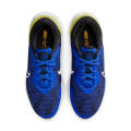 Renew Run 4 Shoes For Men (DR2677-401). 