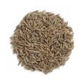 Cumin Seeds (Jeera ) - 100 gm. 