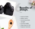 Silajit 25 gm. 
