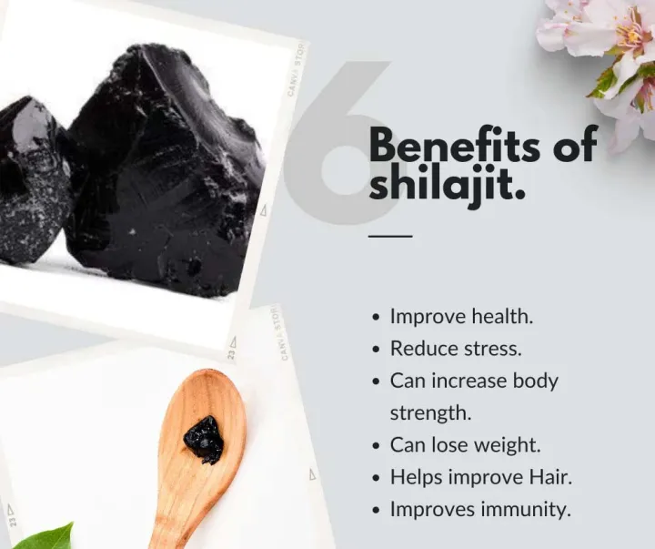 Silajit%2025%20gm%20-%20Image%203