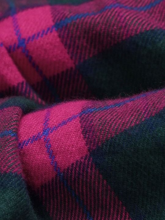 U.S.%20Polo%20Assn.%20Kids%20Girls%20Checked%20Pure%20Cotton%20Pleated%20Skirt%20-%20Image%205