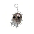 Gift Car Pack Acrylic Game Hamster Sad Me Memes Fun Just A Girl Key Chain Cartoon Key Chain Ring Backpack Glamour Key Chain Pentend. 