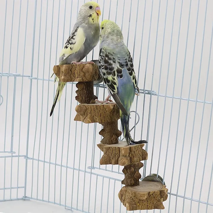 NAMUNY%20Bird%20Platform%20Perch%20Playground%20for%20Parakeet,%20Cage%20Natural%20Wood%20Play%20Stand%20Parrot%20Flat%20Perches%20for%20Medium%20Birds%20-%20Image%208