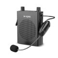 W-King KS16 Wireless Bluetooth Fm USB Sd Speaker with Microphone. 