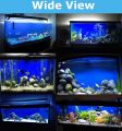 72x24 Blue Background Wallpaper For  Aquarium By Crown Aquatics. 