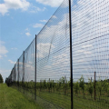 EITGZWAS 2X Black Nylon Anti Bird Net Netting Mesh for Fruit Crop Plant Tree Bird-Preventing Netting 15X7.5M. 