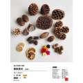 Wood Chips DIY Flower Kit Chenmai Fruit Shell Material Taibao Acorn Dried Handmade Photo Frame Plant Specimen Pine Cone. 