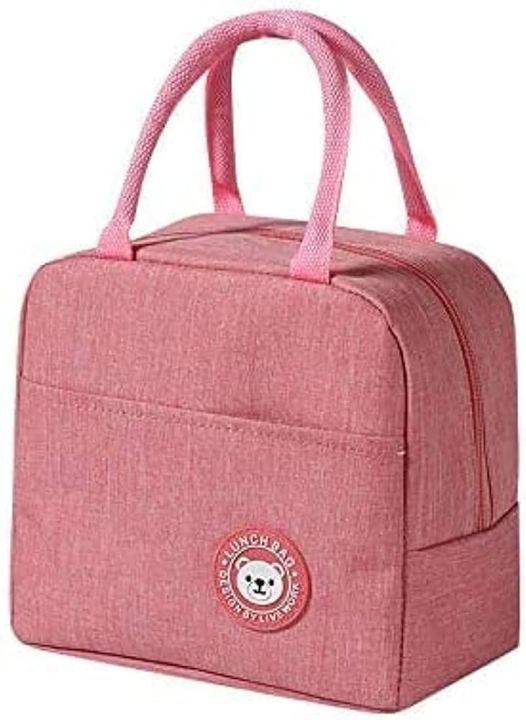 Handy%20Sized%20Bento%20Thermal%20Insulated%20Lunch%20Bag%20/%20Cover,%20Tiffin%20Bag%20with%20Outer%20Pouch%20Size%2021*13cm*19cm%20-%20Image%206