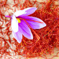 Premium Quality Pure Natural Saffron / Keshar / Kesar / Zafran- 1gm. 