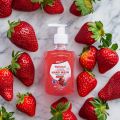 Anti-Bacterial Hand Wash 500mL Strawberry Scented From NATIONAL By J.S. Trading House. 