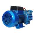 Puja-Gs Self Priming Domestic Pump Super Suction. 