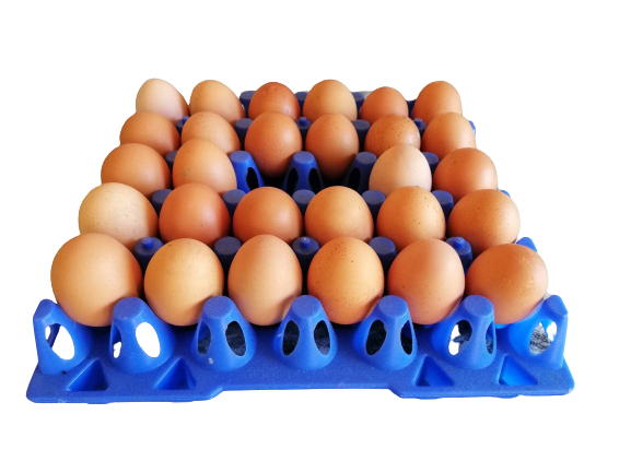 Blue%20Color%20Egg%20Crate%20-%20Image%202