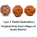 4 Mukhi Rudrakshya. 