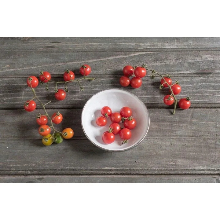 Candyland%20Red%20Cherry%20Tomato%20Seeds%205%20Plus%20(Loose%20Pack)%20-%20Image%206