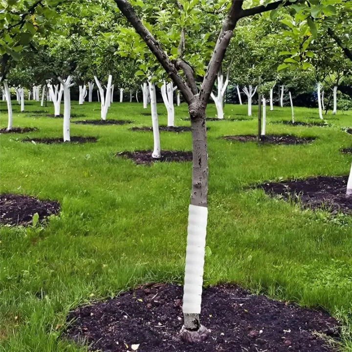 Plant%20Tree%20Trunk%20Protector%20Weather%20Preventing%20Bites%20Proof%20Plastic%20Guards%20Cover%20Plant%20Protecting%20Tool%20Garden%20Accessorie%20A%20-%20Image%207