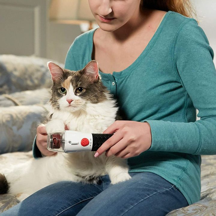 Pawperfect%20Bell%20+%20Howell%20Rechargeable%20Pet%20Nail%20Rotating%20File%20For%20Dogs,%20Cats,%20And%20Other%20Small%20Animals%20As%20Seen%20On%20Tv%20-%20Image%206