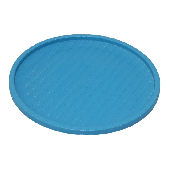 Blue%20Plastic%20Nanglo%207519%20-%20Image%204