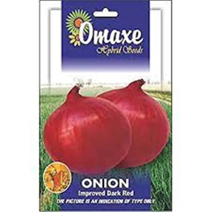 Omaxe%20Onion%20Seeds%2050%20Plus%20Improved%20Dark%20Red%20+%20Onion%20Pyaj%2050%20Plus%20Seeds%20-%20Image%203