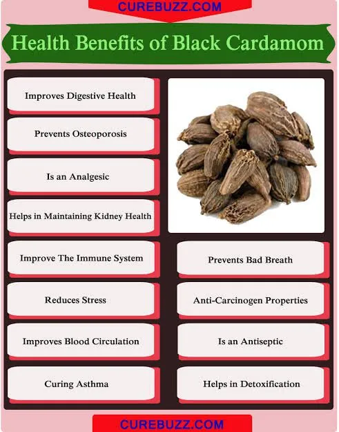 Big%20Cardamom%20(%20Alichisukhmel%20)%20-%20200%20Gm%20Each%20-%20Image%205