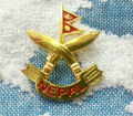 6 in 1 Lapel Pin Badge For Coat and Topi. 