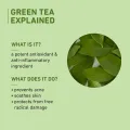 Plum Goodness Green Tea Oil Free Moisturizer 50Ml. 