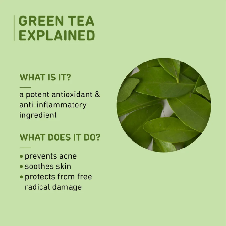 Plum%20Goodness%20Green%20Tea%20Oil%20Free%20Moisturizer%2050Ml%20-%20Image%205
