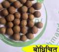 Tree Seeds- 1 Packet Seeds Of Buddhachitta | बुद्धचित्त माला (Ziziphus Budhensis) 50 Gram. 