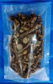 Dried Gurjo ( Giloy)  100 gm. 