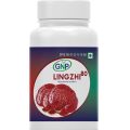 Lingzhi-80 Ganoderma Lucidum-90 Capsules. 